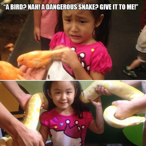 daily picdump 105 pics 22.html - 105 HD Photos | Premium Gallery 2018