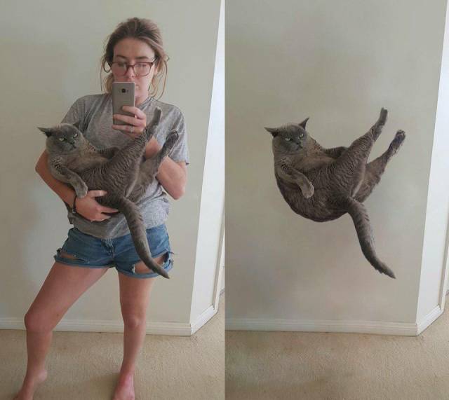 daily picdump 105 pics 22.html - 105 HD Photos | Premium Gallery 2018