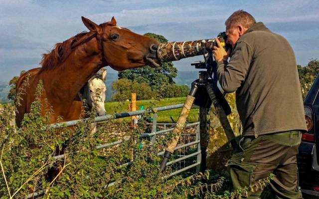 daily picdump 105 pics 22.html - 105 HD Photos | Premium Gallery 2018