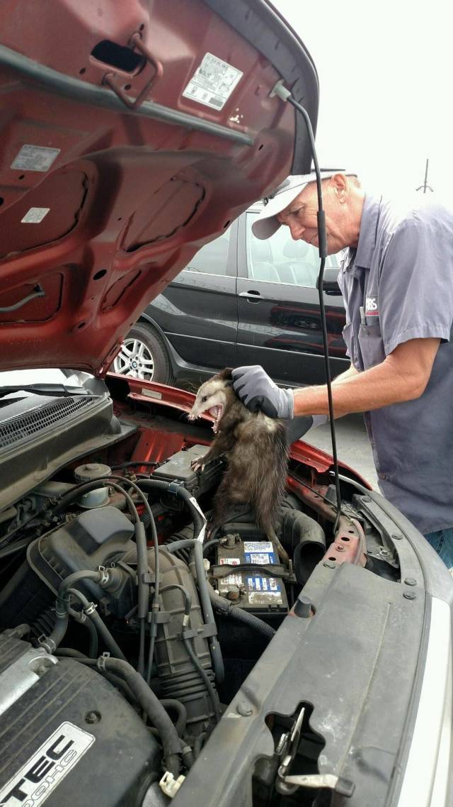 daily picdump 105 pics 22.html - 105 HD Photos | Premium Gallery 2018