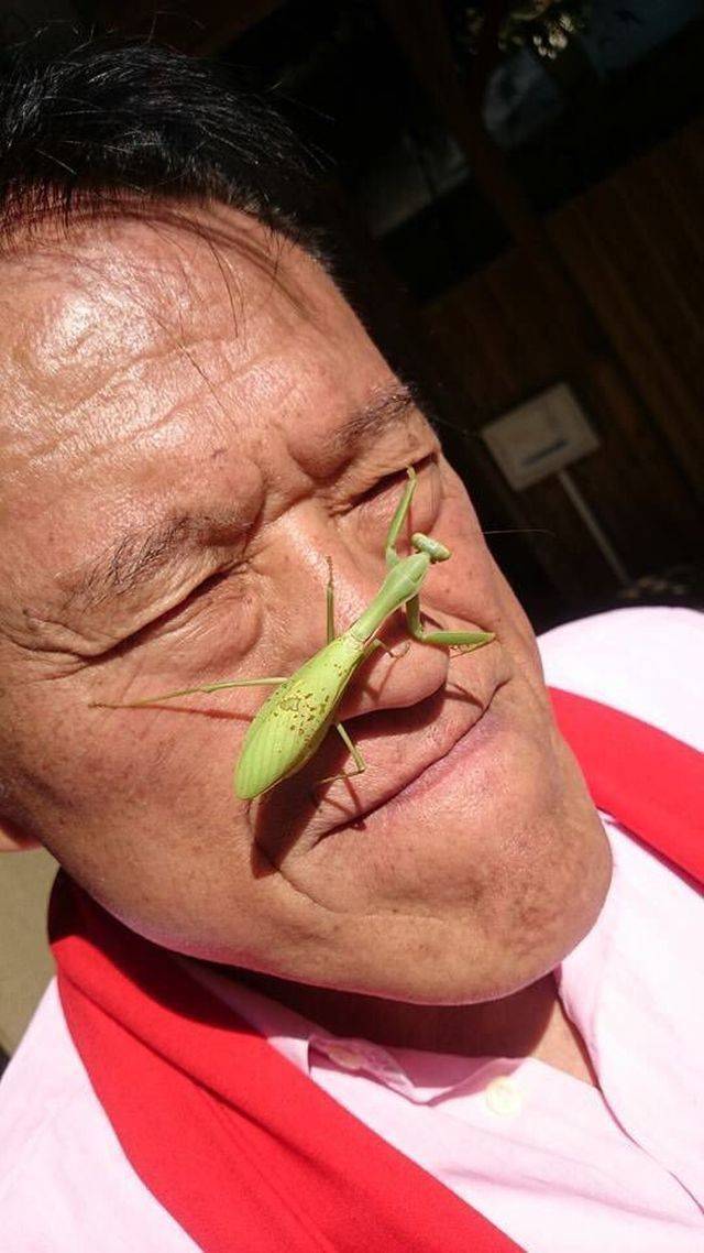 daily picdump 105 pics 22.html - 105 HD Photos | Premium Gallery 2018