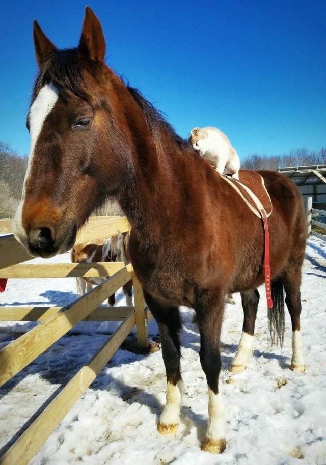 daily picdump 105 pics 22.html - 105 HD Photos | Premium Gallery 2018