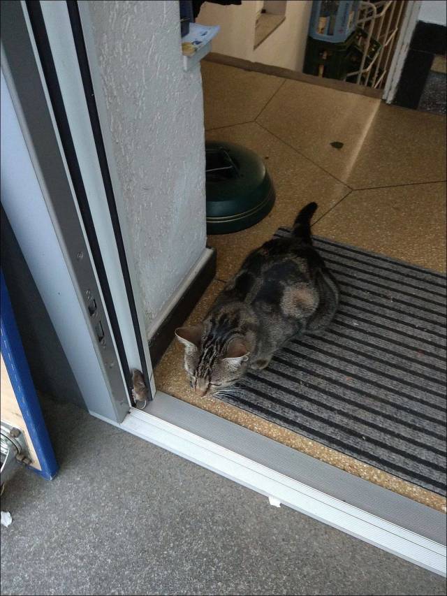 daily picdump 105 pics 22.html - 105 HD Photos | Premium Gallery 2018