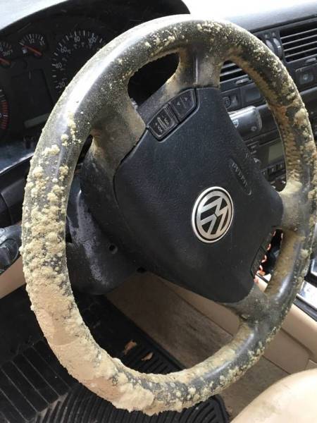 morning picdump 50 pics 22.html - 50 HD Photos | Premium Gallery 2018