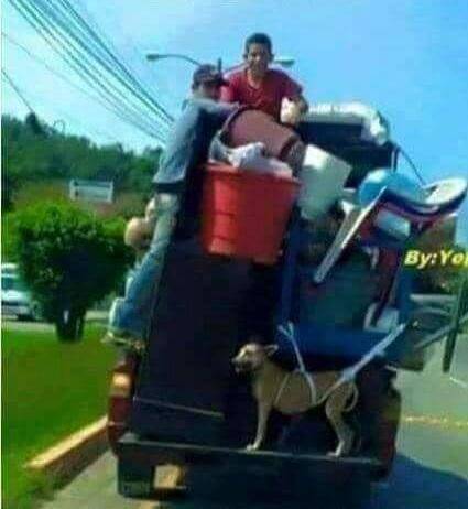 morning picdump 50 pics 22.html - 50 HD Photos | Premium Gallery 2018