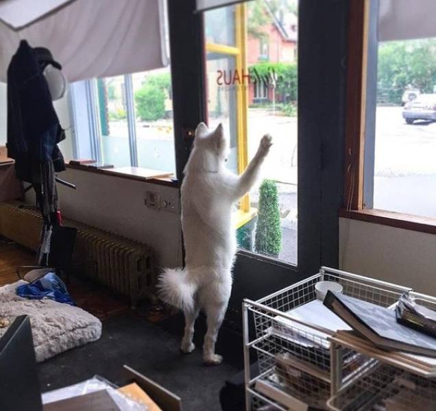 morning picdump 50 pics 22.html - 50 HD Photos | Premium Gallery 2018