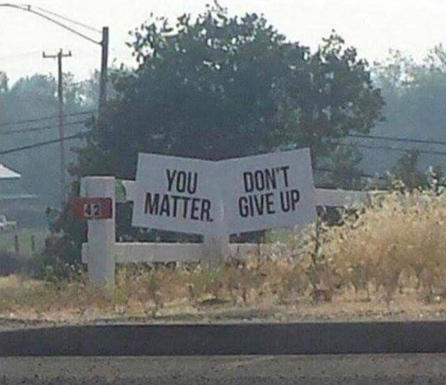 Daily Picdump [WEEKEND EDITION]