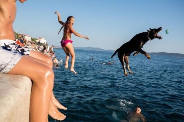 daily picdump weekend edition 52 pics 20.html - 52 HD Photos | Premium Gallery 2018