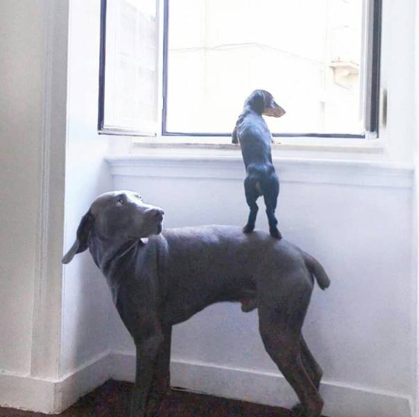 daily picdump 110 pics 33.html - 110 HD Photos | Premium Gallery 2018