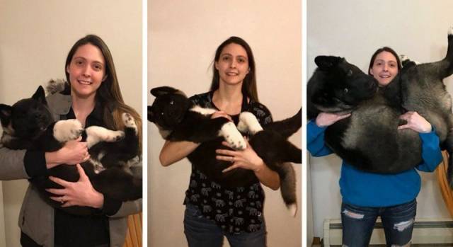 daily picdump 110 pics 33.html - 110 HD Photos | Premium Gallery 2018