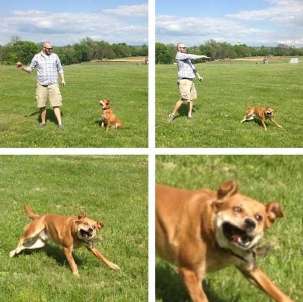 daily picdump 110 pics 33.html - 110 HD Photos | Premium Gallery 2018