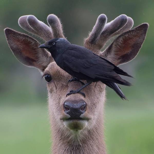 daily picdump 110 pics 33.html - 110 HD Photos | Premium Gallery 2018