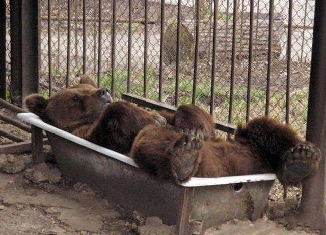 daily picdump 110 pics 33.html - 110 HD Photos | Premium Gallery 2018