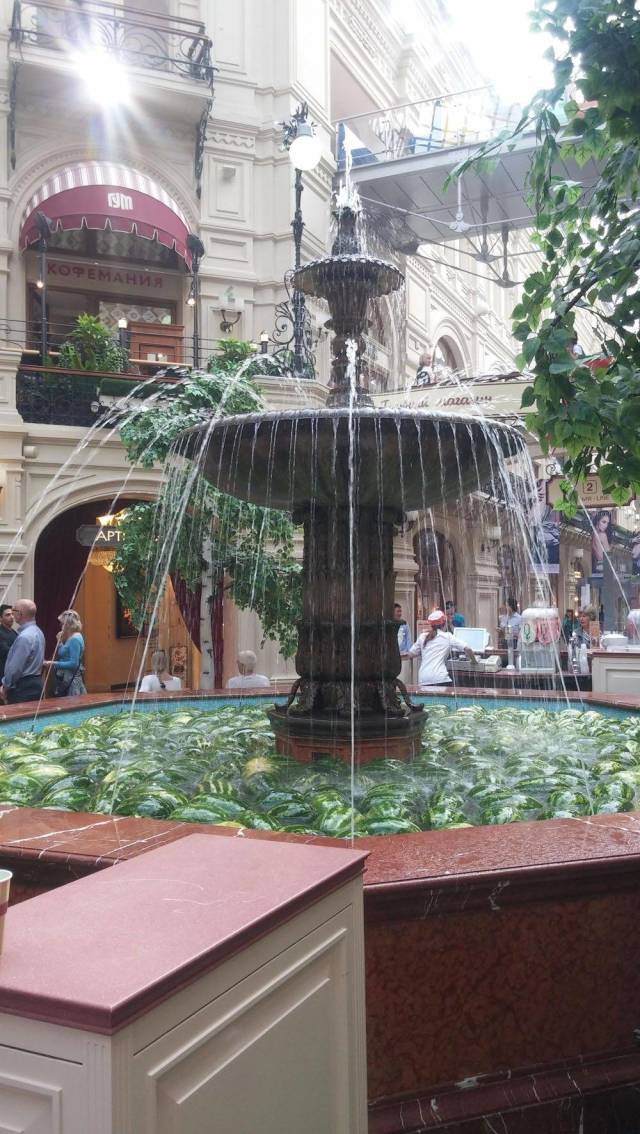 daily picdump 110 pics 33.html - 110 HD Photos | Premium Gallery 2018