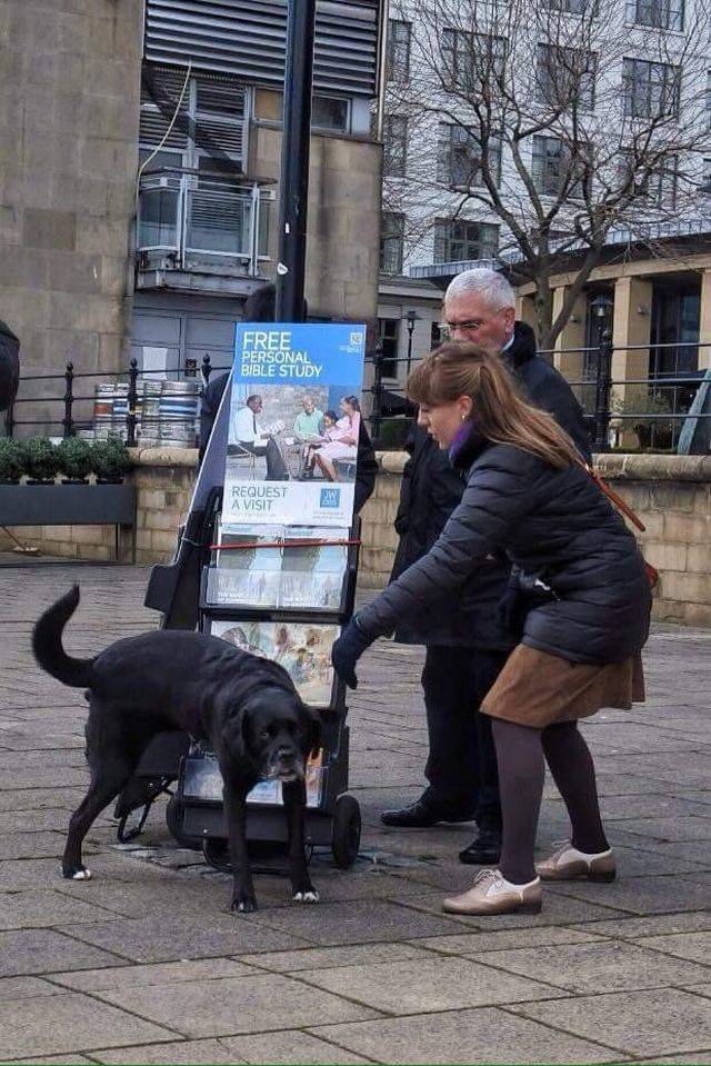 daily picdump 110 pics 33.html - 110 HD Photos | Premium Gallery 2018