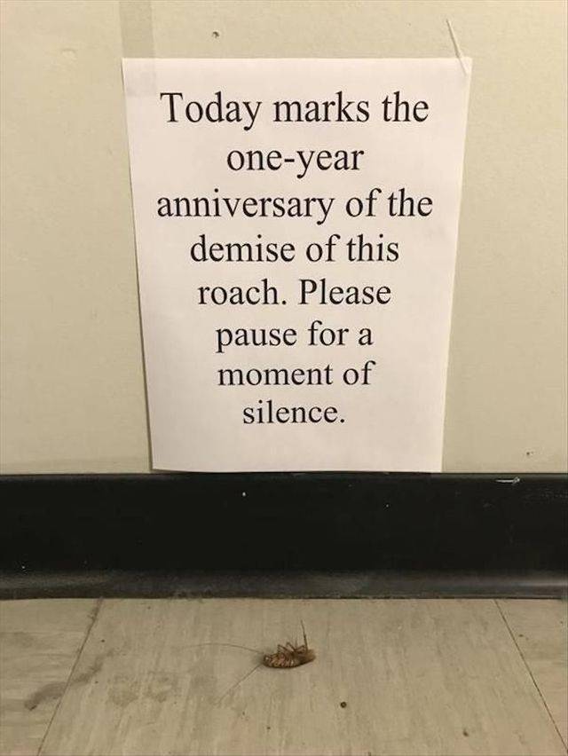 daily picdump 110 pics 33.html - 110 HD Photos | Premium Gallery 2018