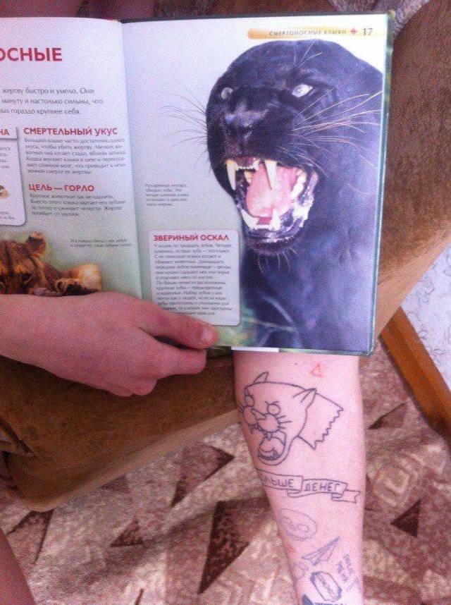 daily picdump 110 pics 33.html - 110 HD Photos | Premium Gallery 2018