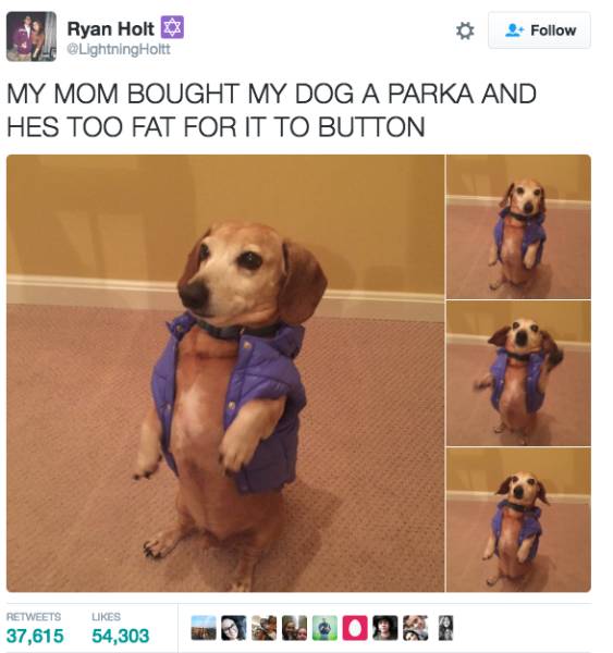 Memes to Amuse Your Tired Mind