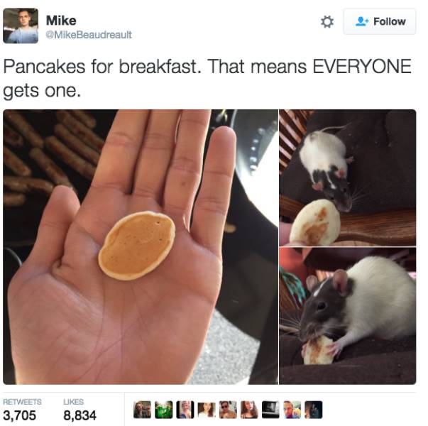 Memes to Amuse Your Tired Mind