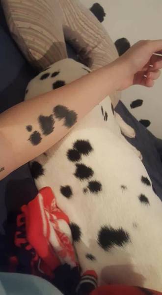 morning picdump 51 pics 24.html - 51 HD Photos | Premium Gallery 2018