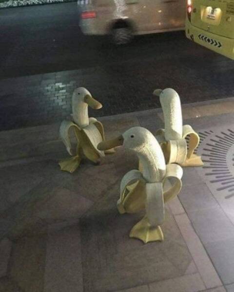 morning picdump 51 pics 24.html - 51 HD Photos | Premium Gallery 2018