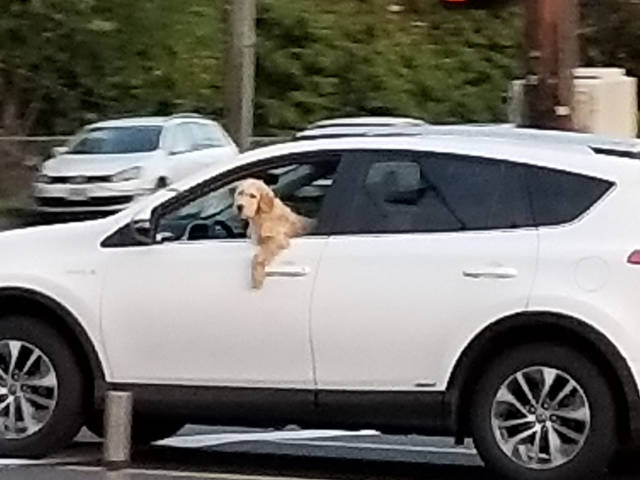 morning picdump 51 pics 24.html - 51 HD Photos | Premium Gallery 2018