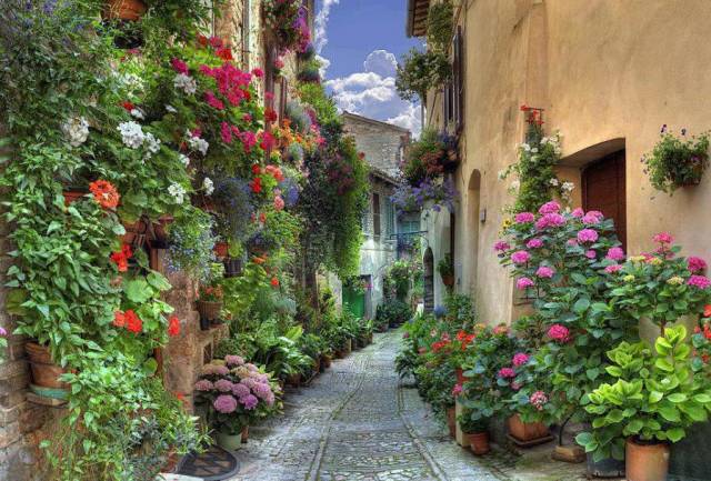 morning picdump 51 pics 24.html - 51 HD Photos | Premium Gallery 2018