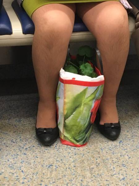 morning picdump 51 pics 24.html - 51 HD Photos | Premium Gallery 2018