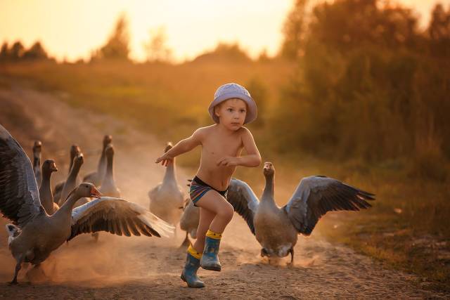 daily picdump 97 pics 32.html - 97 HD Photos | Premium Gallery 2018