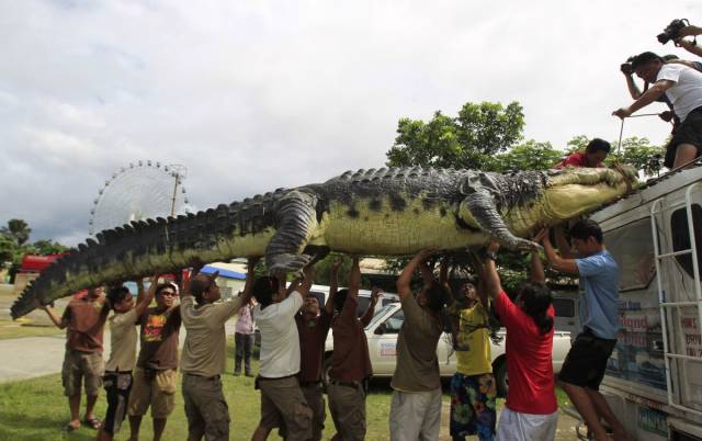 daily picdump 97 pics 32.html - 97 HD Photos | Premium Gallery 2018