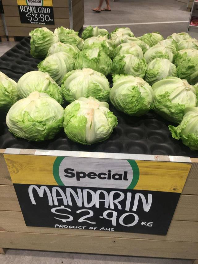 daily picdump 97 pics 32.html - 97 HD Photos | Premium Gallery 2018