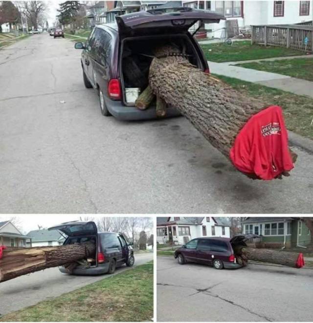 daily picdump 97 pics 32.html - 97 HD Photos | Premium Gallery 2018