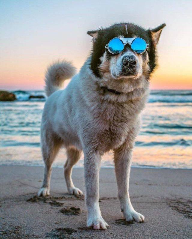 daily picdump 97 pics 32.html - 97 HD Photos | Premium Gallery 2018