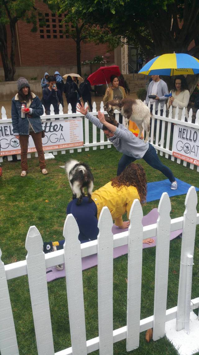 morning picdump 50 pics 1.html - 50 HD Photos | Premium Gallery 2018