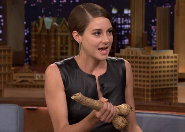 daily picdump 100 pics 28.html - 100 HD Photos | Premium Gallery 2018