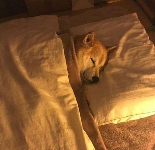 daily picdump 100 pics 28.html - 100 HD Photos | Premium Gallery 2018