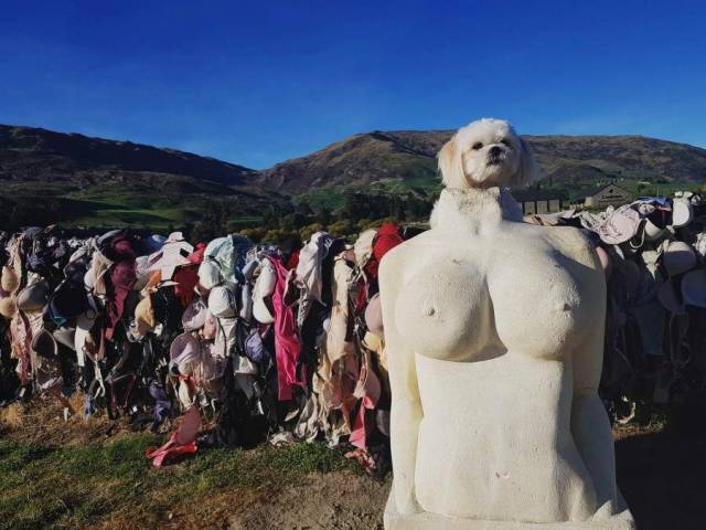 daily picdump 100 pics 28.html - 100 HD Photos | Premium Gallery 2018