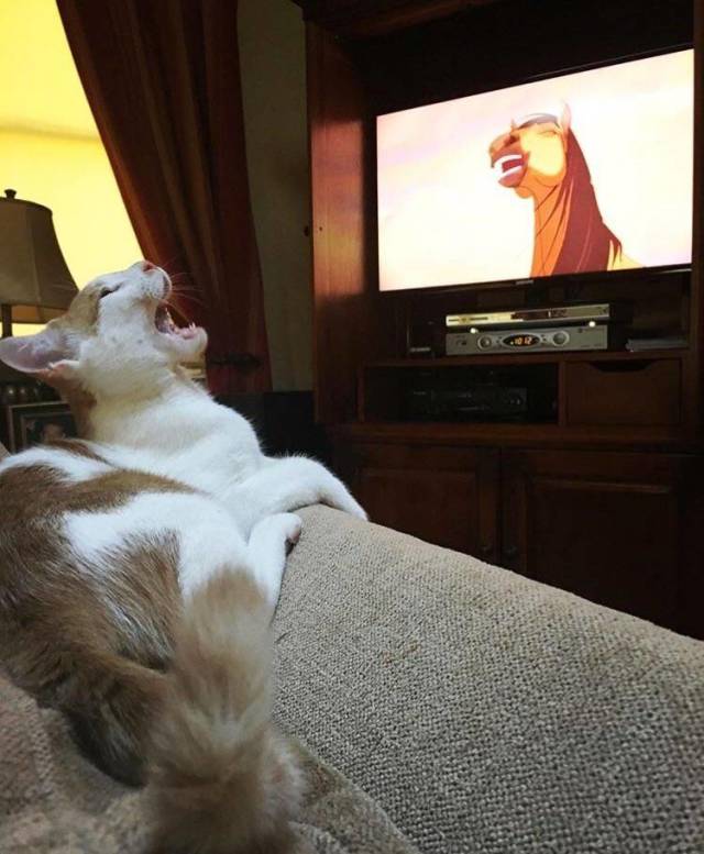 daily picdump 100 pics 28.html - 100 HD Photos | Premium Gallery 2018