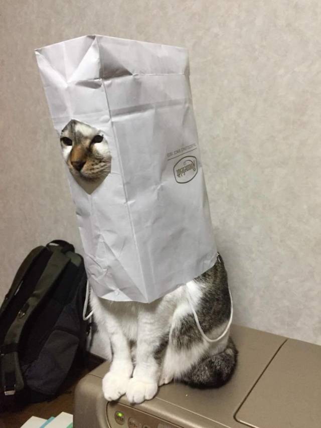 daily picdump 100 pics 28.html - 100 HD Photos | Premium Gallery 2018