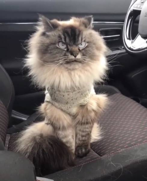 morning picdump 50 pics 22.html - 50 HD Photos | Premium Gallery 2018