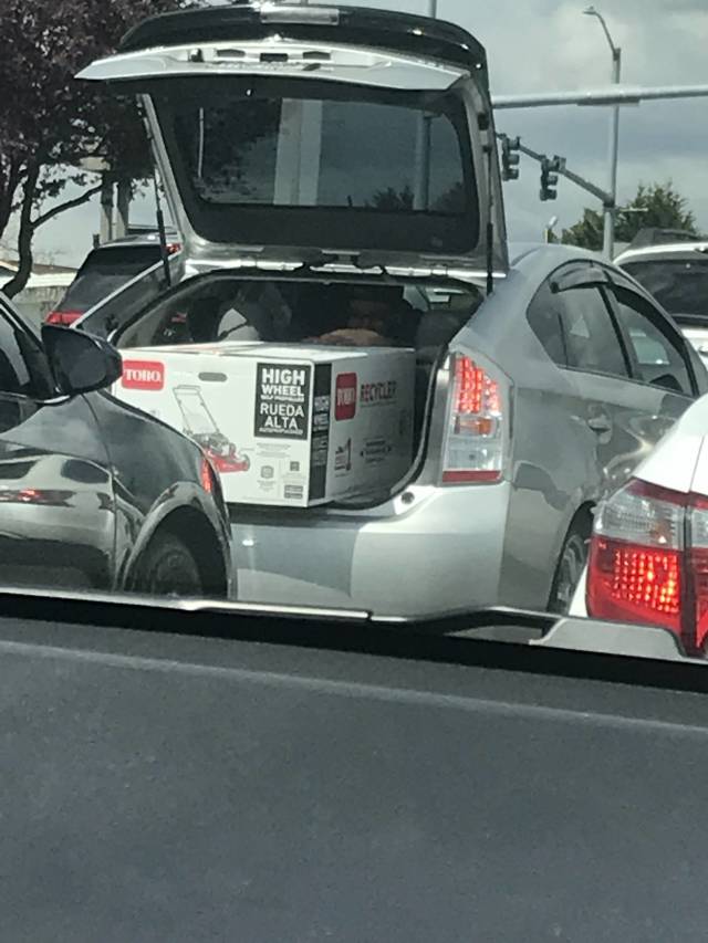 morning picdump 50 pics 22.html - 50 HD Photos | Premium Gallery 2018