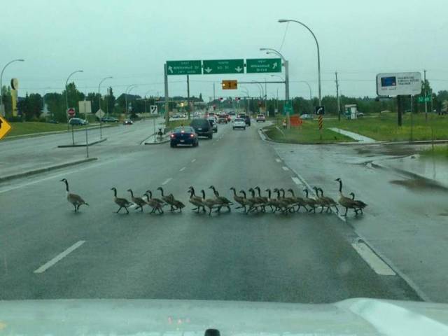 daily picdump 97 pics 19.html - 97 HD Photos | Premium Gallery 2018