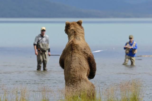 daily picdump 97 pics 19.html - 97 HD Photos | Premium Gallery 2018