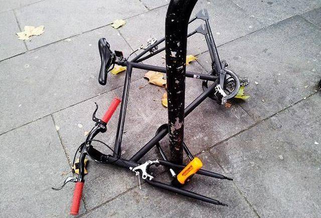 daily picdump 97 pics 19.html - 97 HD Photos | Premium Gallery 2018