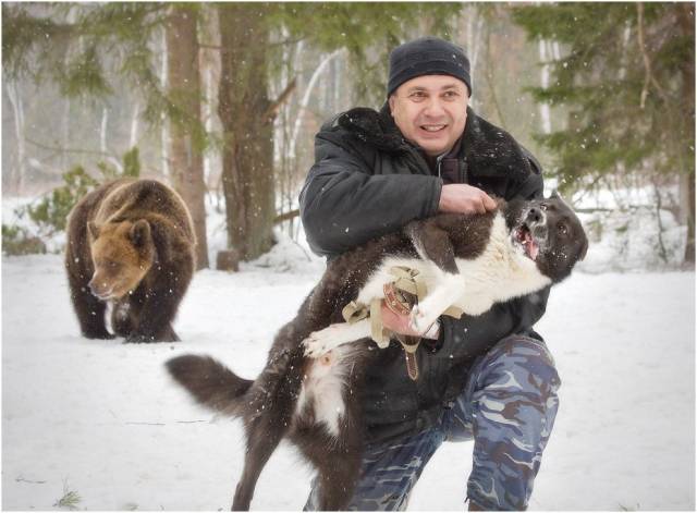 daily picdump 97 pics 19.html - 97 HD Photos | Premium Gallery 2018