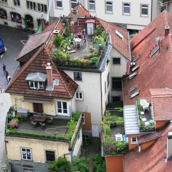 daily picdump 97 pics 19.html - 97 HD Photos | Premium Gallery 2018