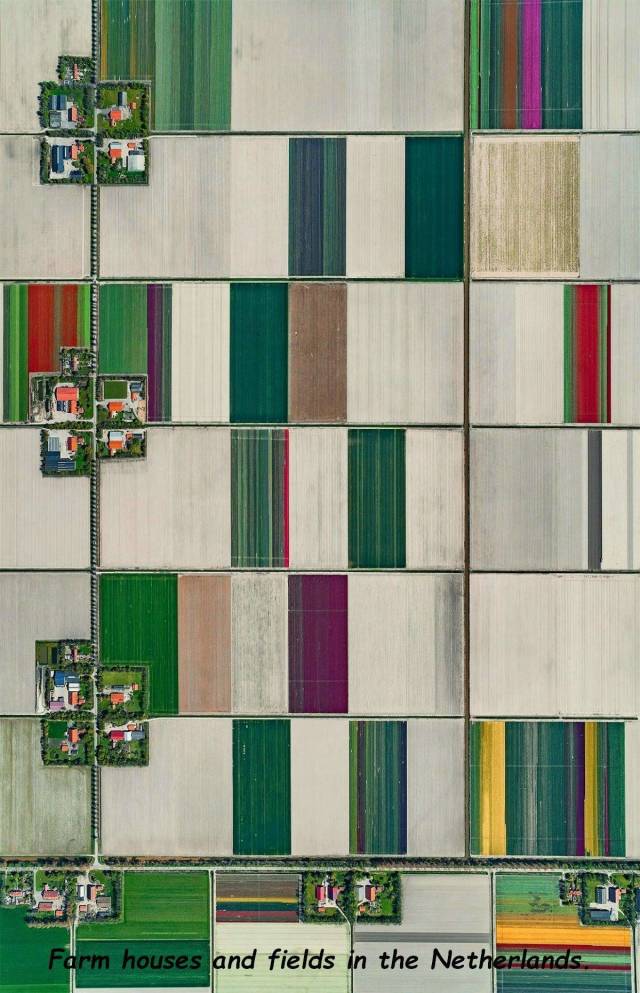 daily picdump 97 pics 19.html - 97 HD Photos | Premium Gallery 2018