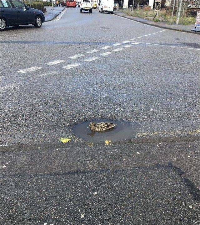 daily picdump 97 pics 19.html - 97 HD Photos | Premium Gallery 2018