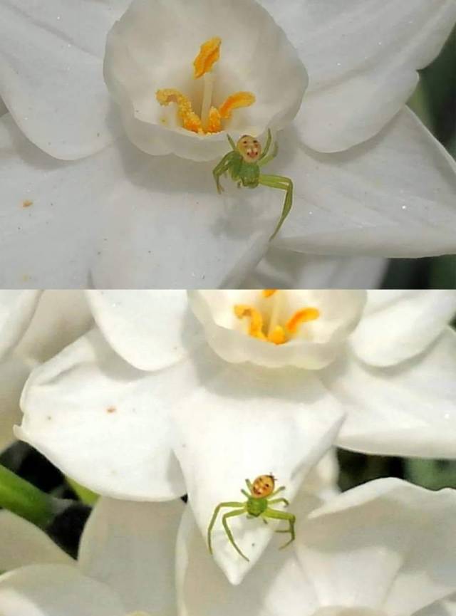 daily picdump 97 pics 19.html - 97 HD Photos | Premium Gallery 2018