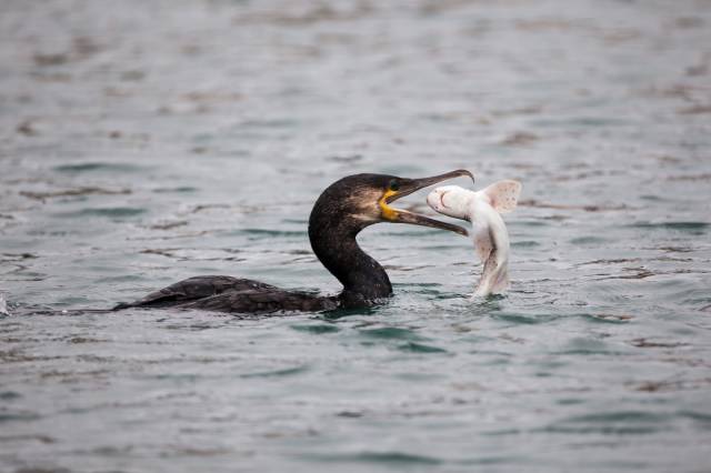 morning picdump 54 pics 21.html - 54 HD Photos | Premium Gallery 2018